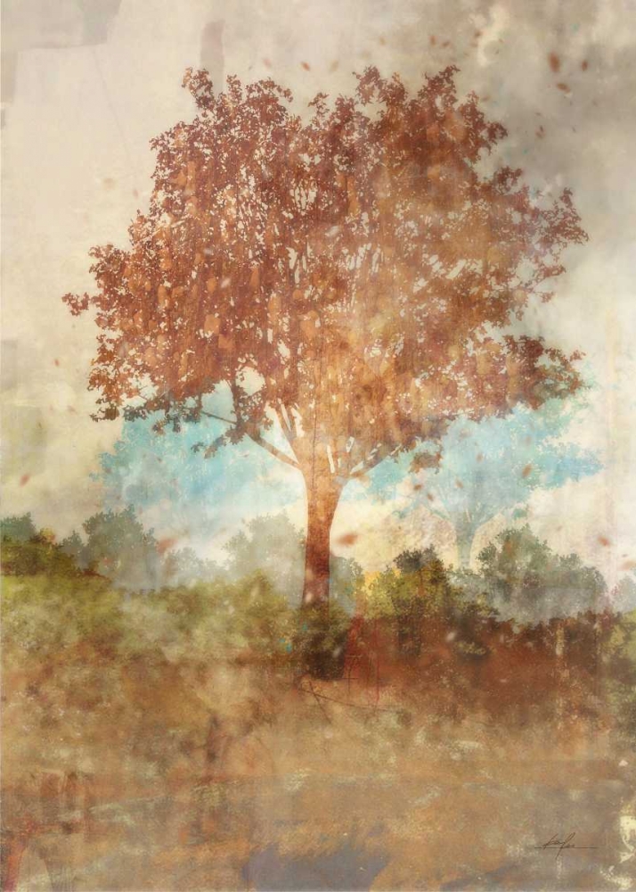Wall art: Sun Dappled Tree, by Roko, Ken