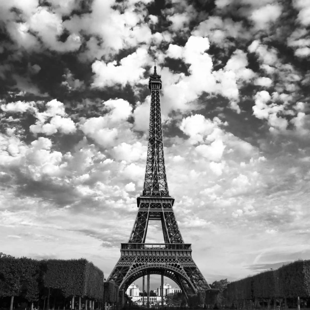 Art Print: Viewing The Eiffel