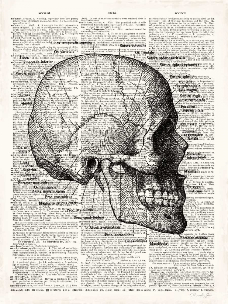 Wall Art Painting id:107136, Name: Vintage Anatomy Skull, Artist: James, Christopher