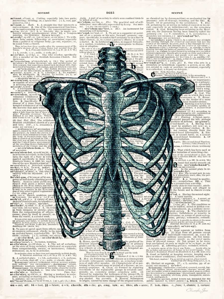 Wall Art Painting id:107137, Name: Vintage Anatomy Study, Artist: James, Christopher