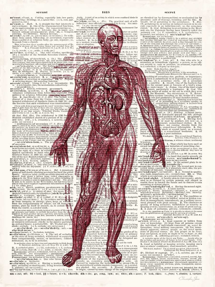 Wall Art Painting id:107138, Name: Vintage Anatomy Book , Artist: James, Christopher