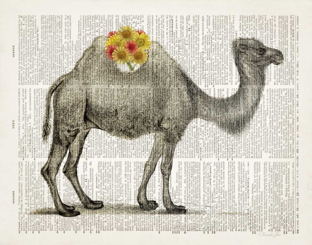 Wall Art Painting id:142091, Name: Flower Back Camel, Artist: James, Christopher