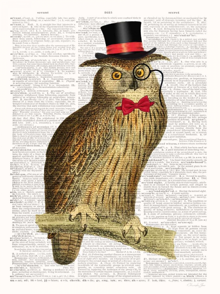 Wall Art Painting id:142201, Name: A Dapper Bird, Artist: James, Christopher