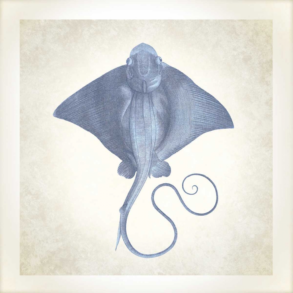 Wall Art Painting id:166543, Name: Sea Life, Stingray, Artist: James, Christopher