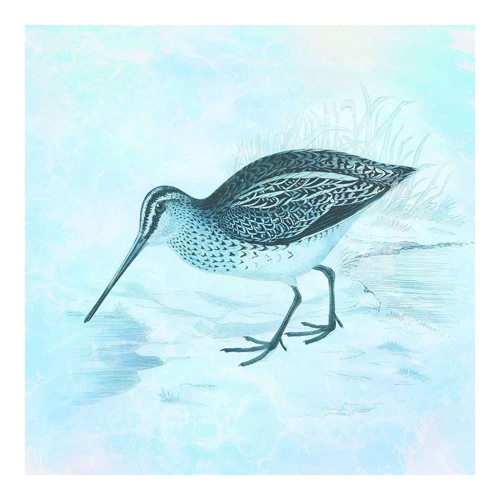 Wall Art Painting id:190651, Name: At The Seashore 2, Artist: James, Christopher