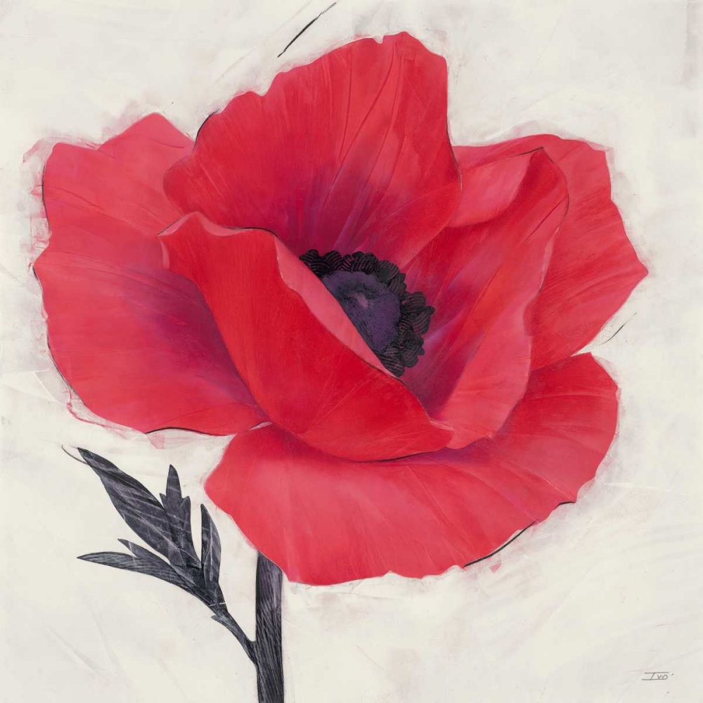 Wall Art Painting id:84968, Name: Jubilant Poppy, Artist: Stoyanov, Ivo