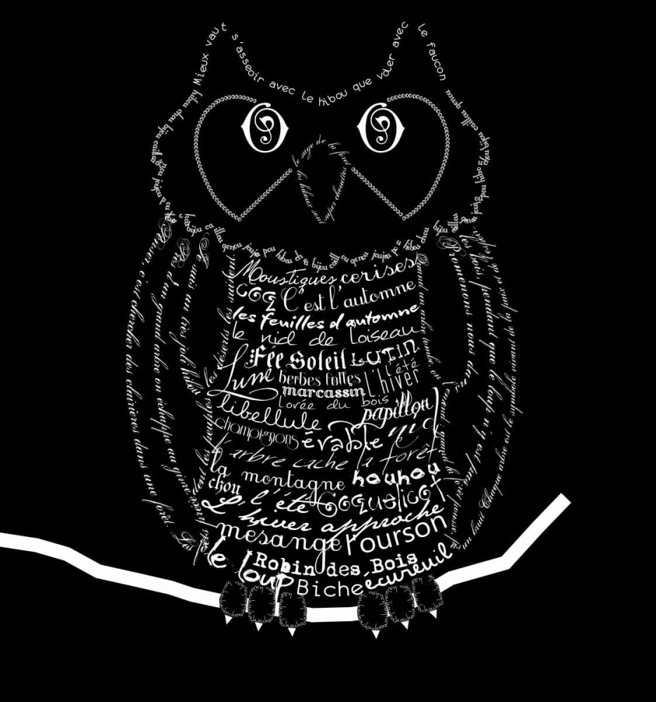 Wall Art Painting id:61936, Name: French Owl Black, Artist: De Lauzun, Marion 