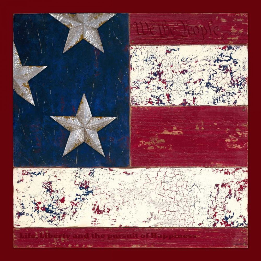 Wall Art Painting id:63345, Name: We the People, Artist: Appleman, Sam