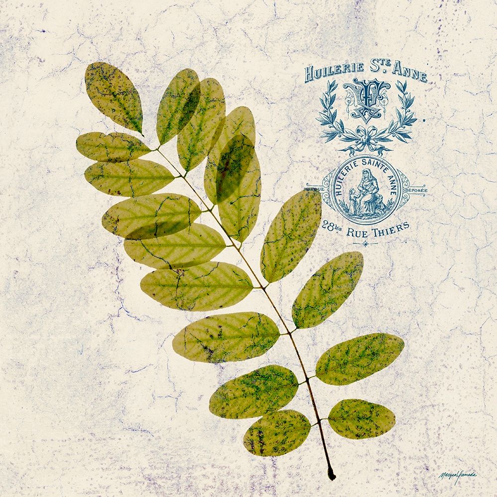 Art Print: JADE FOREST LEAF 4