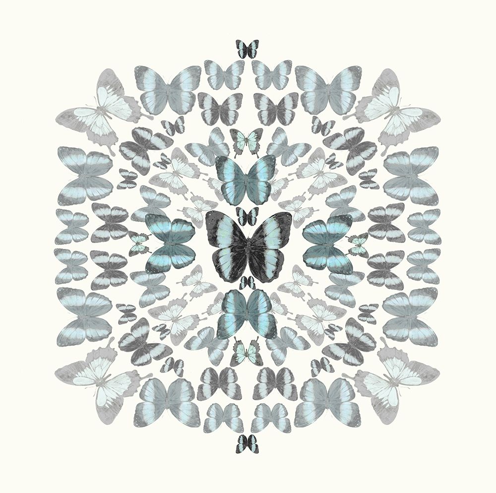 Wall Art Painting id:336907, Name: Butterfly Kaleidoscope, Artist: Taylor, Evangeline