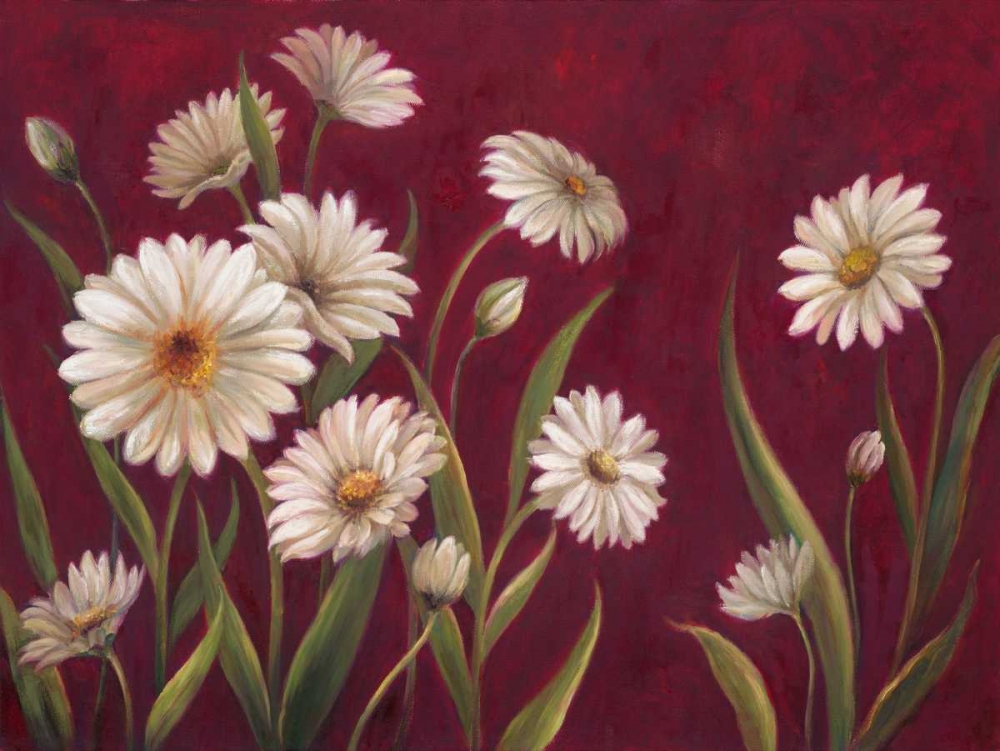 Wall Art Painting id:66313, Name: Harmony Daisies , Artist: Art Atelier Alliance