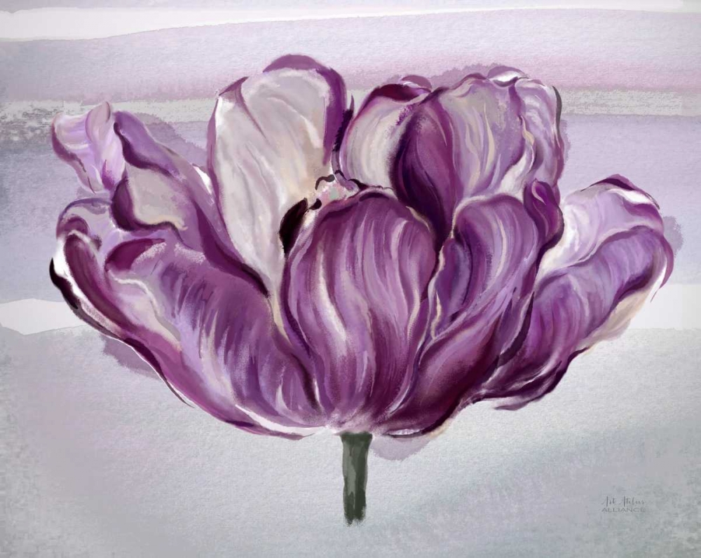 Wall Art Painting id:66334, Name: Awash In Plum Tulip, Artist: Art Atelier Alliance