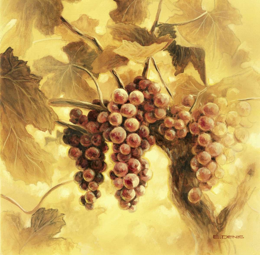 Art Print: GrapesI