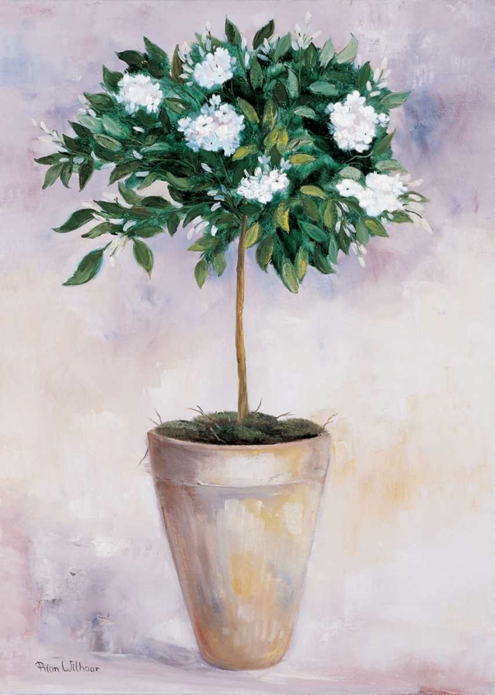 Wall Art Painting id:57979, Name: Jasminum, Artist: Withaar, Rian