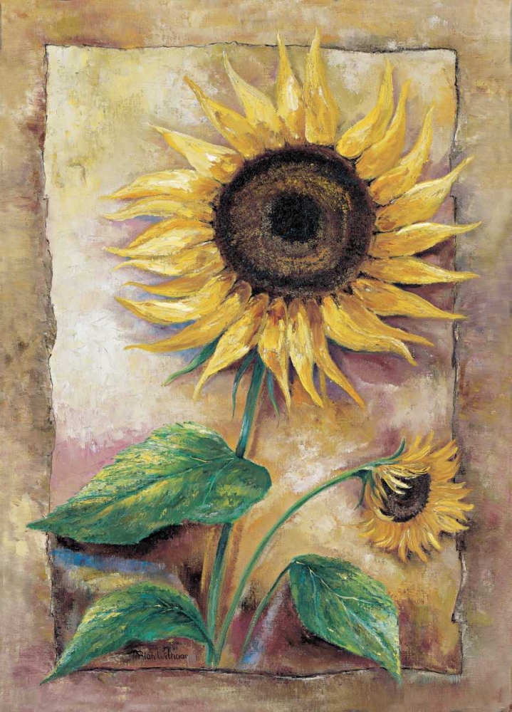 Wall art: Beautiful sunflower, by Withaar, Rian
