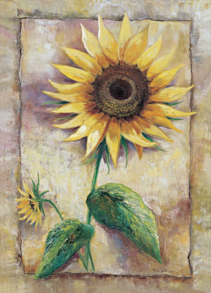 Wall art: Magnificent sunflower, by Withaar, Rian