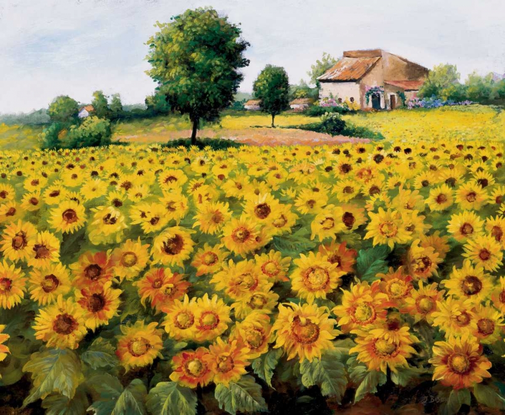 Wall art: Field with sunflowers, by Bosman, Johan
