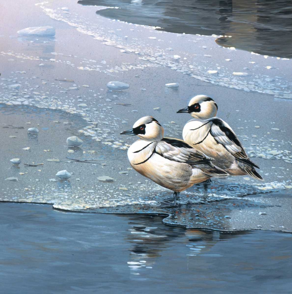 Wall Art Painting id:58099, Name: Ducks, Artist: Weenink, Jan