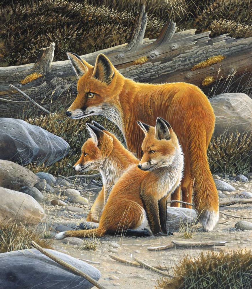 Wall Art Painting id:58102, Name: Fox family, Artist: Weenink, Jan