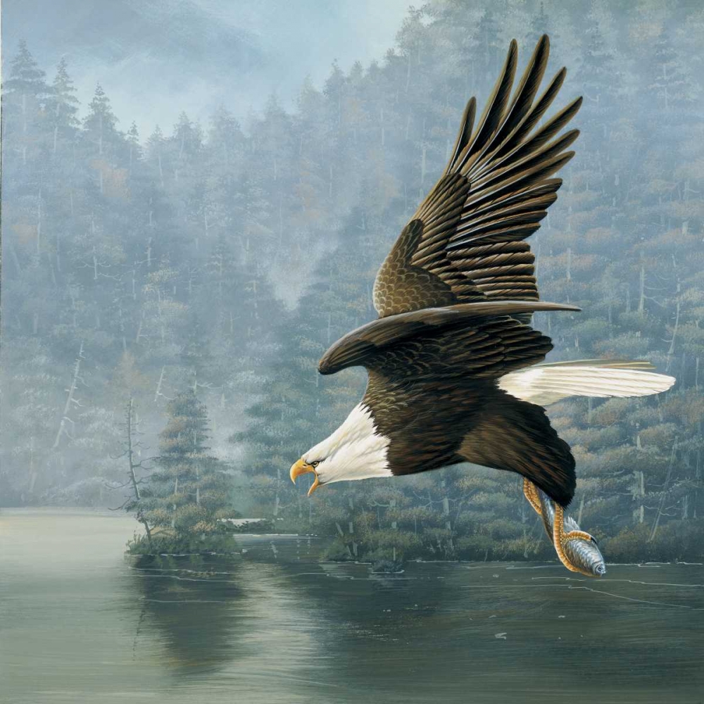 Wall Art Painting id:58113, Name: Flying eagle, Artist: Weenink, Jan