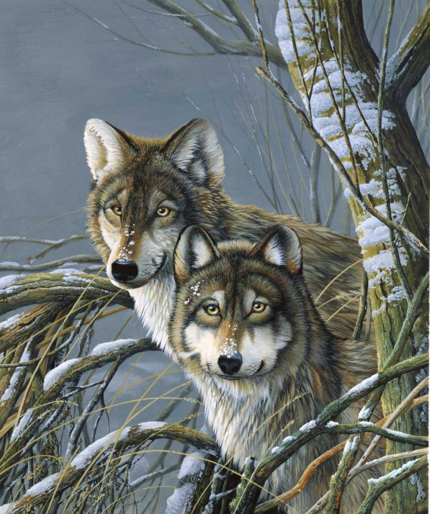 Wall Art Painting id:58115, Name: Two wolves, Artist: Weenink, Jan