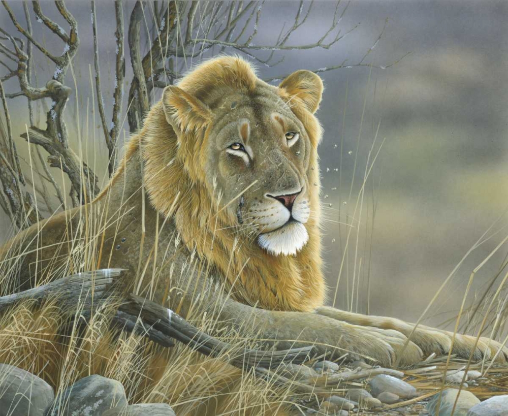 Wall Art Painting id:58118, Name: Lion, Artist: Weenink, Jan