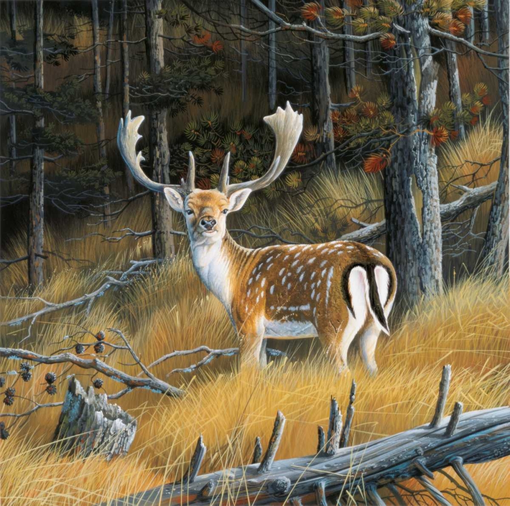 Wall Art Painting id:58119, Name: Beautiful deer, Artist: Weenink, Jan