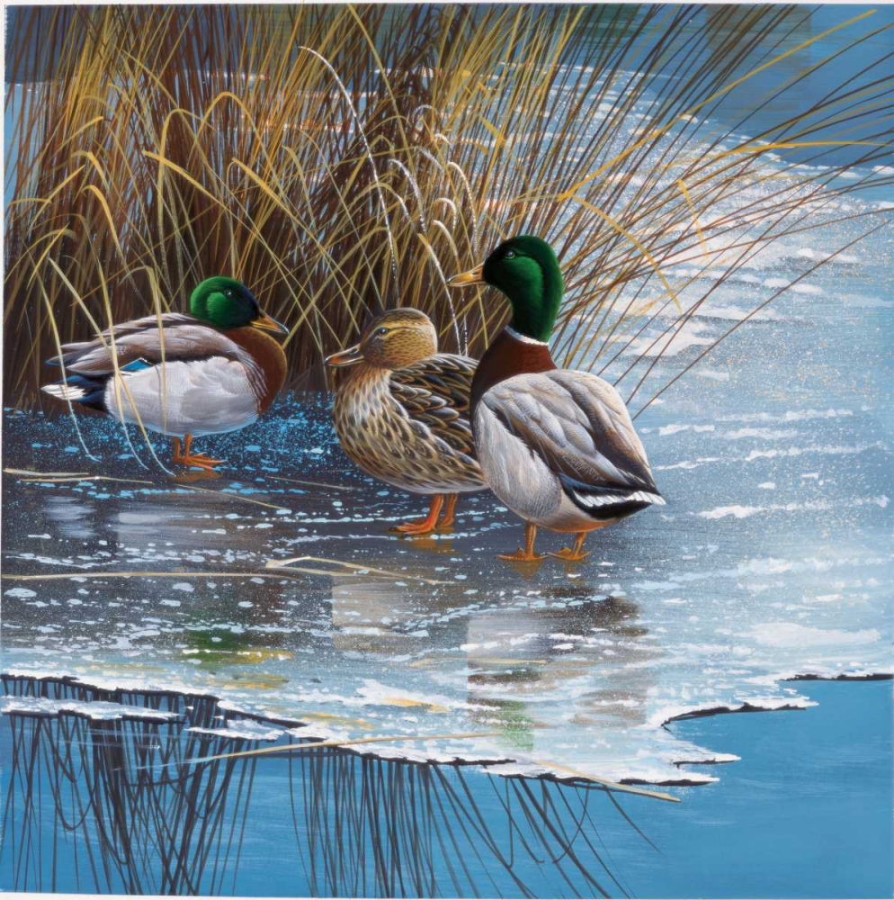 Wall Art Painting id:58123, Name: Three ducks on ice, Artist: Weenink, Jan