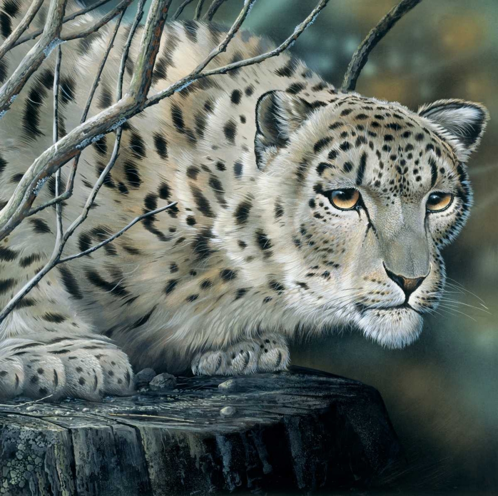 Wall Art Painting id:58137, Name: White tiger, Artist: Weenink, Jan
