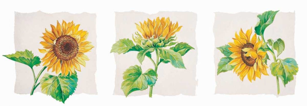Wall art: Sunflower triptych, by Kumorek, Krysztov
