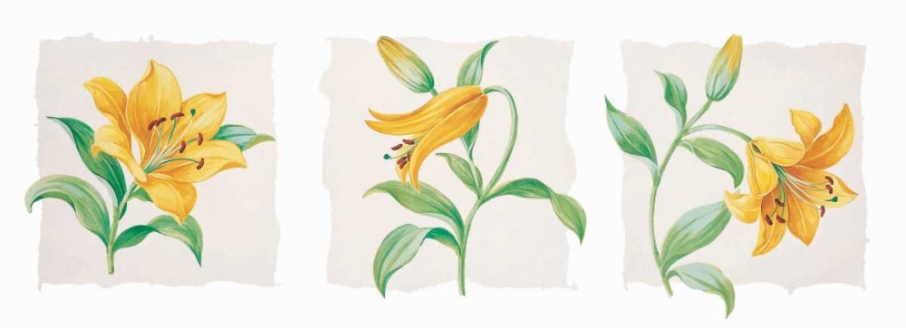 Wall art: Yellow lily triptych, by Kumorek, Krysztov