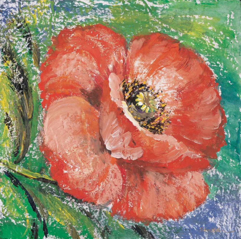 Wall Art Painting id:58181, Name: Poppy, Artist: Schottler, Katharina