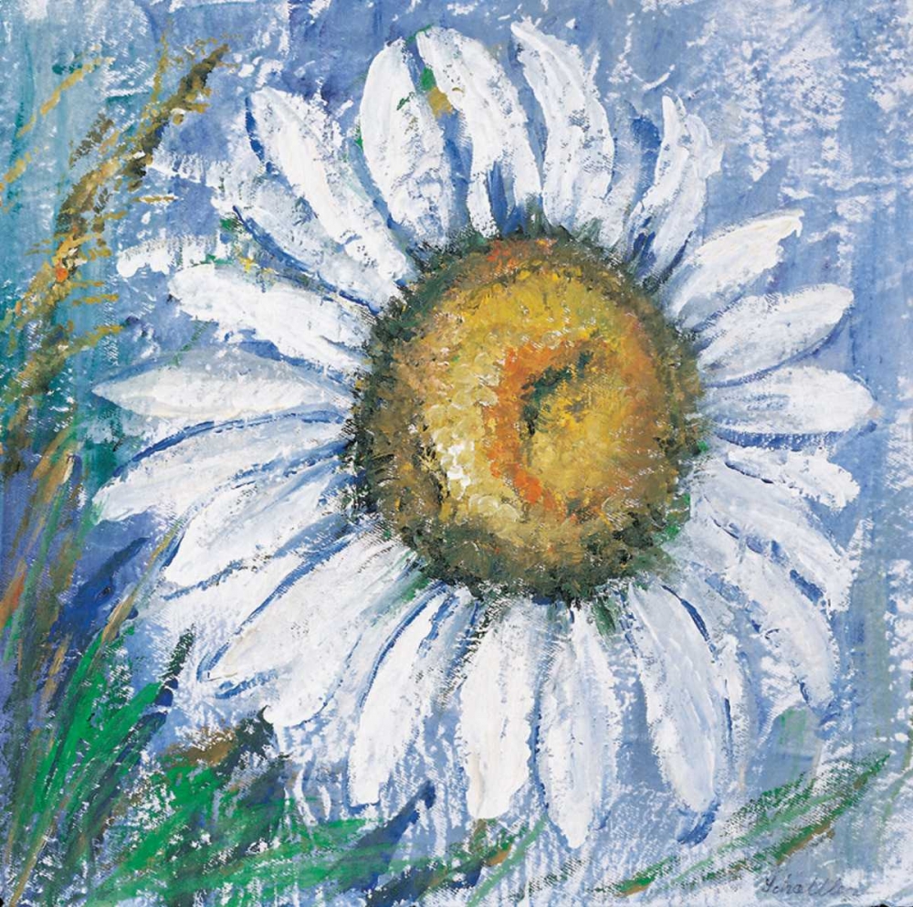Wall Art Painting id:58184, Name: Oxeye daisy, Artist: Schottler, Katharina