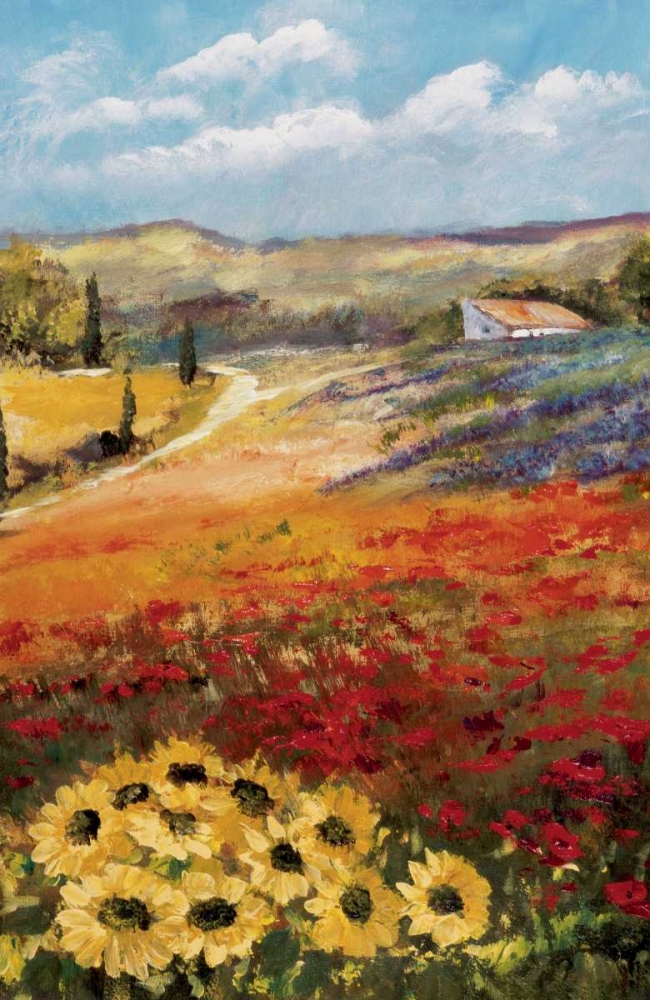 Wall art: Italy sunflower II, by Schottler, Katharina