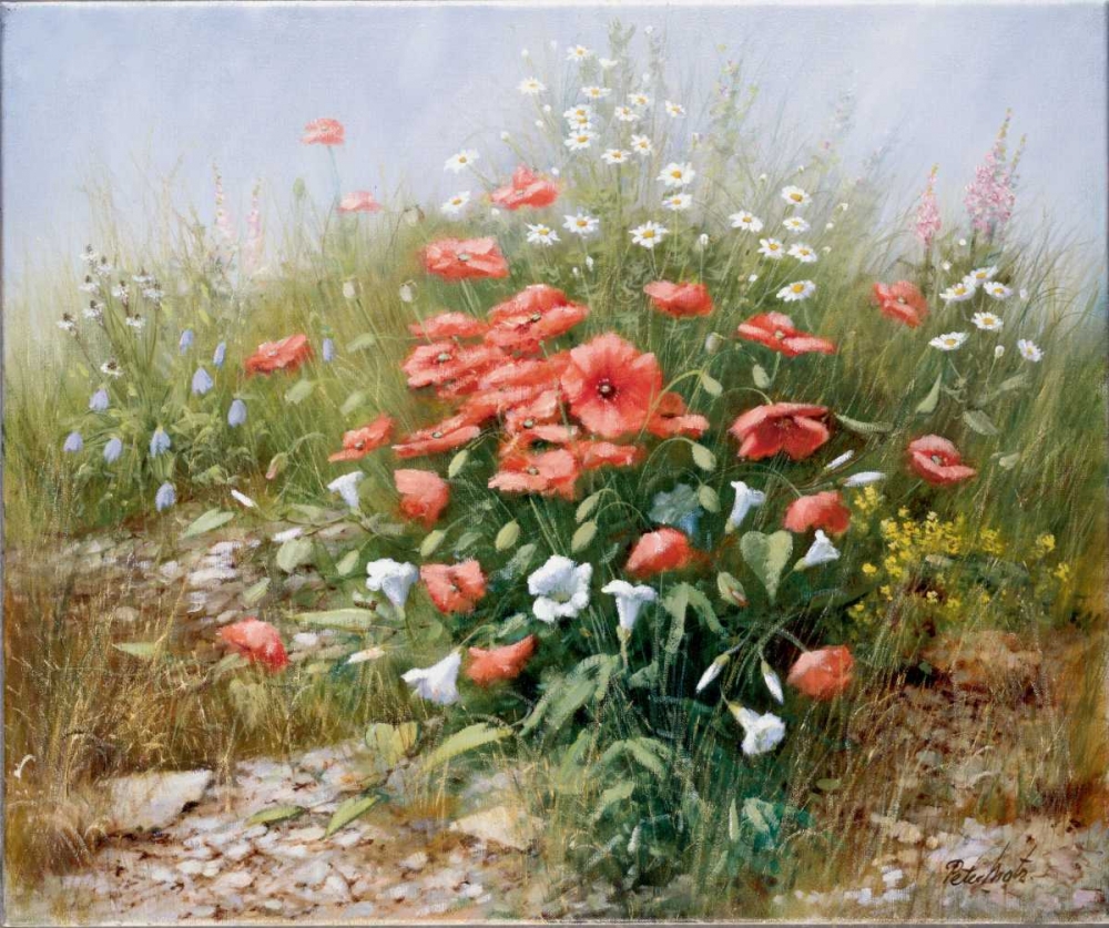 Art Print: Poppies and friends