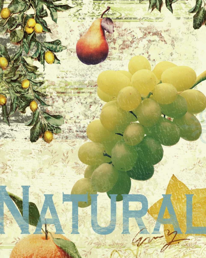 Wall Art Painting id:66929, Name: NATURAL FRUITS, Artist: Yang, Eric