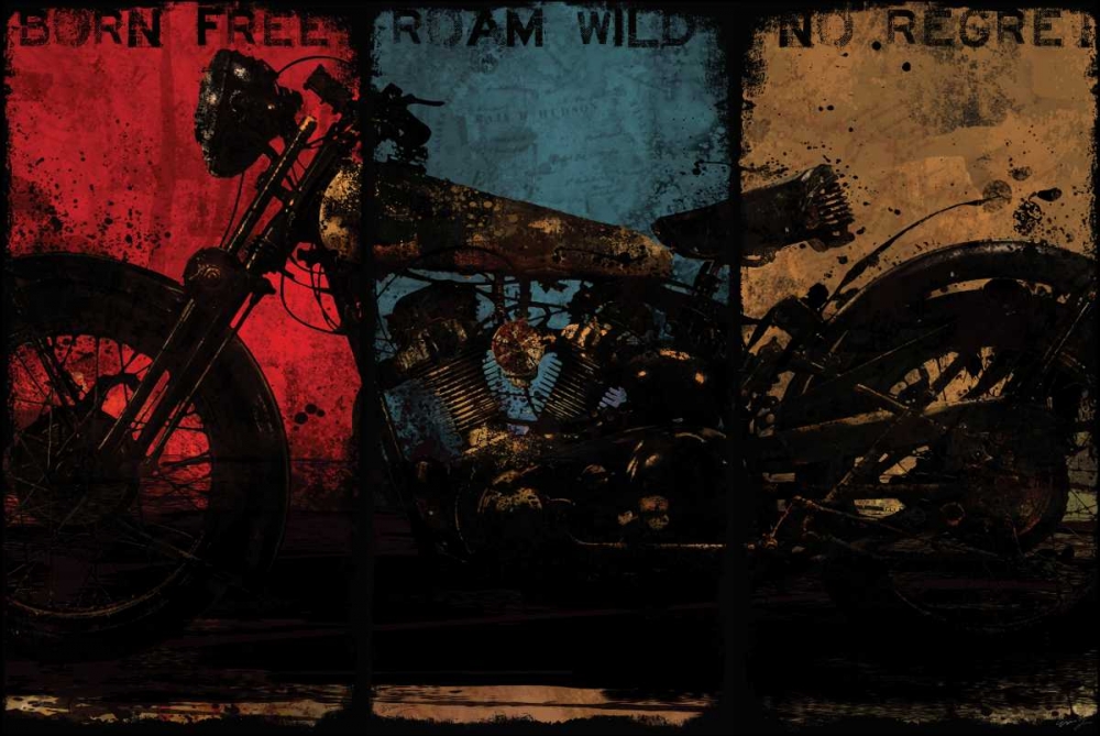 Wall art: BORN FREE MULTI, by Yang, Eric