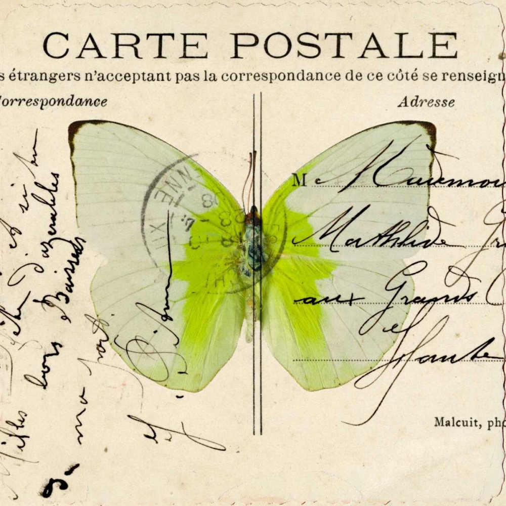 Wall Art Painting id:103294, Name: Colorful Butterfly with Vintage effects, Artist: Frank, Assaf