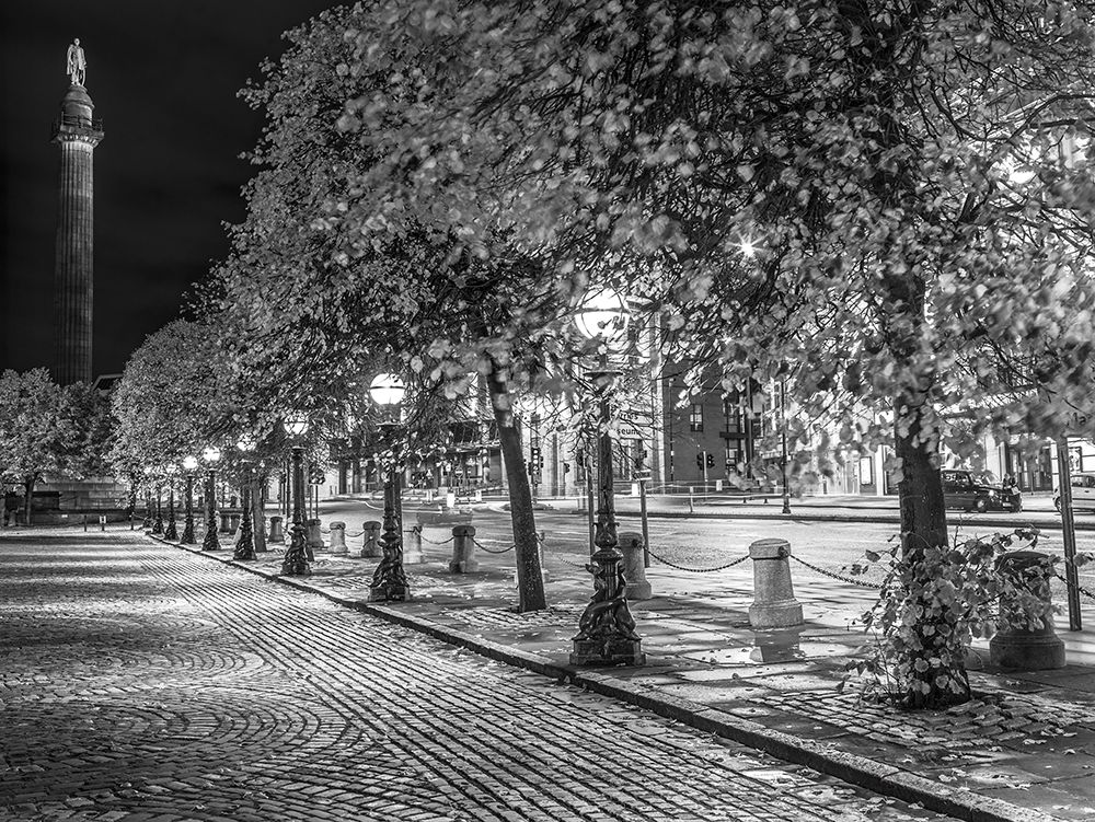 Wall art: Row of trees at night, by Frank, Assaf