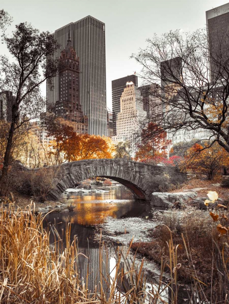 Wall Art Painting id:103565, Name: Gapstow bridge in autumn, Central Park, New York city, FTBR-1802, Artist: Frank, Assaf