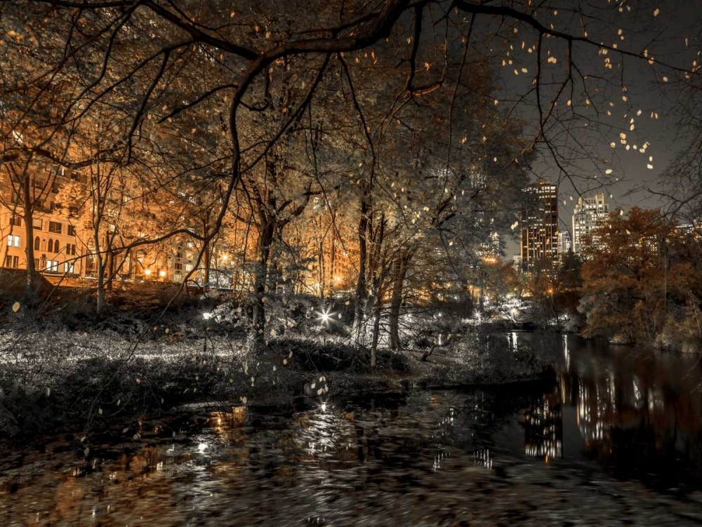 Wall Art Painting id:103577, Name: Evening view of Central Park in New York City, Artist: Frank, Assaf