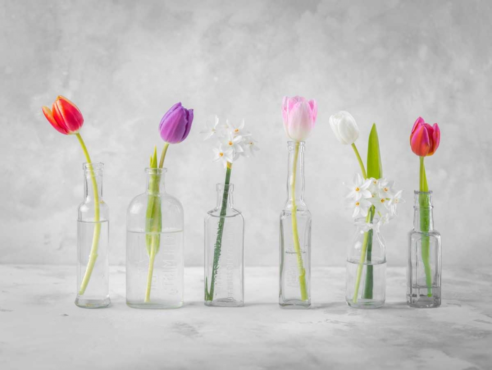 Similar wall art painting: 104326