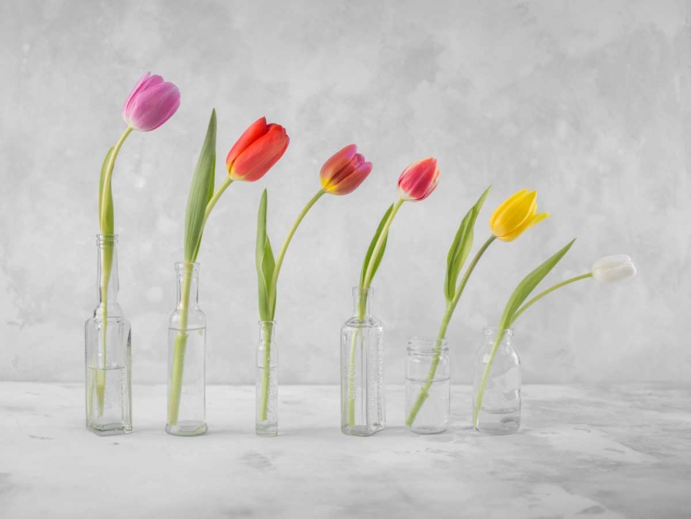 Similar wall art painting: 104330