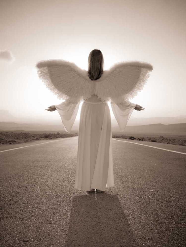 Art Print: FTBR 1698 Road Angel