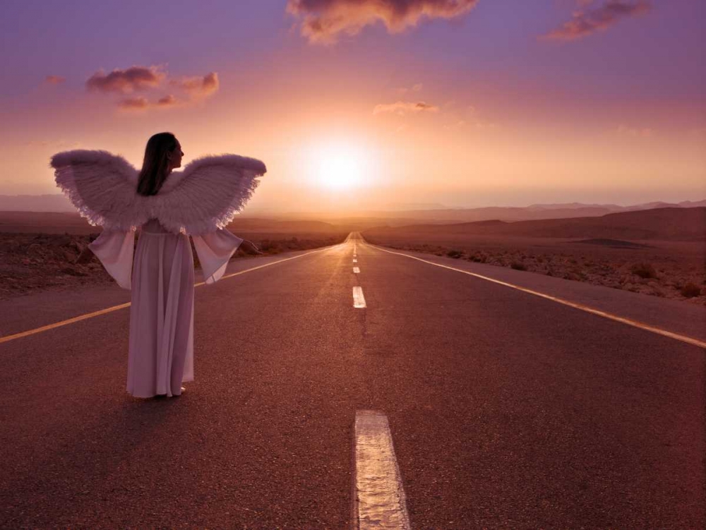 Art Print: FTBR 1702 Road Angel