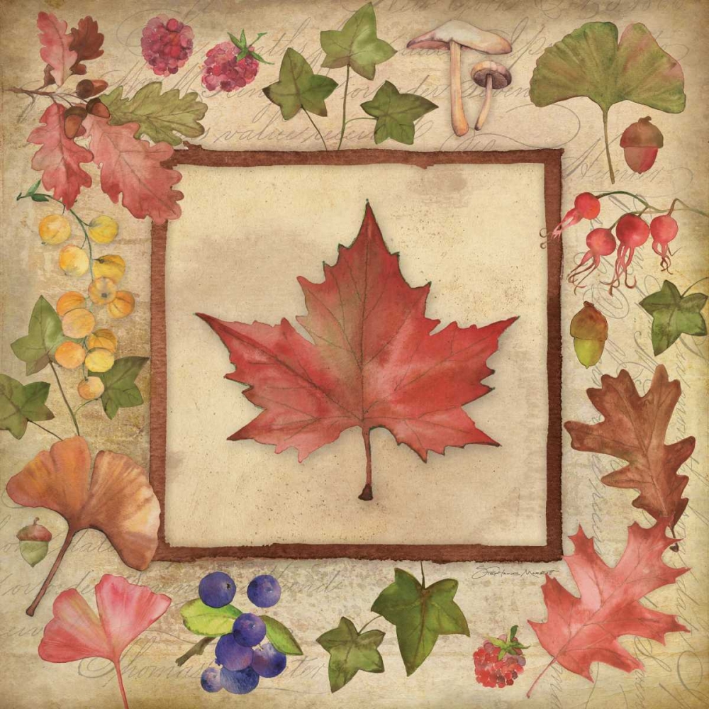 Wall Art Painting id:70253, Name: Maple of Fall 2, Artist: Marrott, Stephanie