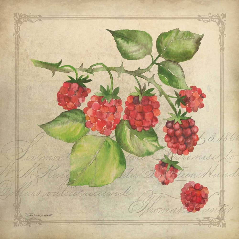 Wall Art Painting id:70257, Name: Rasberry Collage, Artist: Marrott, Stephanie