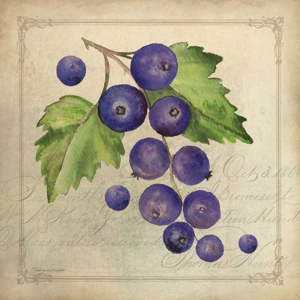 Wall Art Painting id:70258, Name: Blueberry Collage, Artist: Marrott, Stephanie