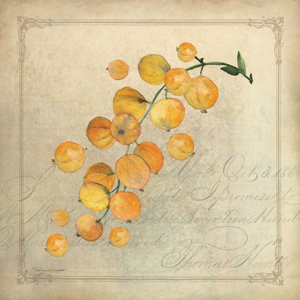 Wall Art Painting id:70259, Name: Yellow Berries, Artist: Marrott, Stephanie