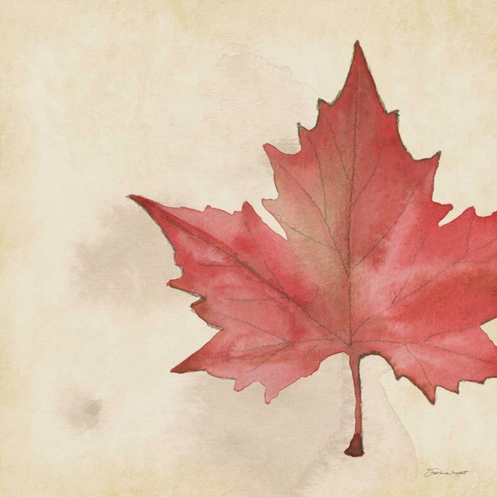 Wall Art Painting id:70260, Name: Maple In Fall, Artist: Marrott, Stephanie
